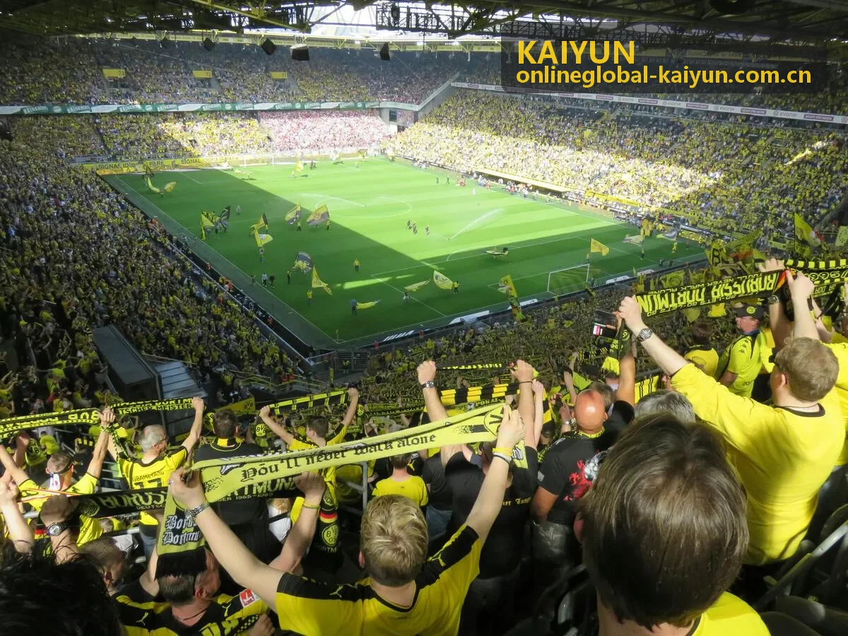 KAIYUN球迷社区热帖封面